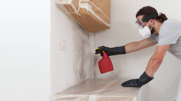 Professional Mold Inspection And Testing technician working in Florham Park, NJ